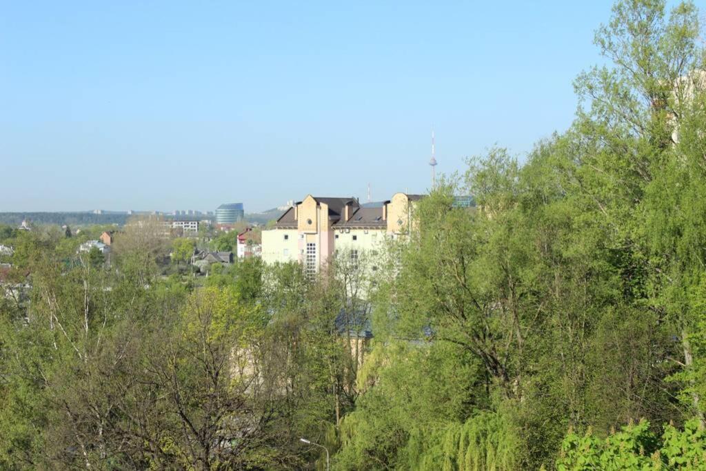Penthouse Apartment With Great Panoramic City View VNO Kültér fotó