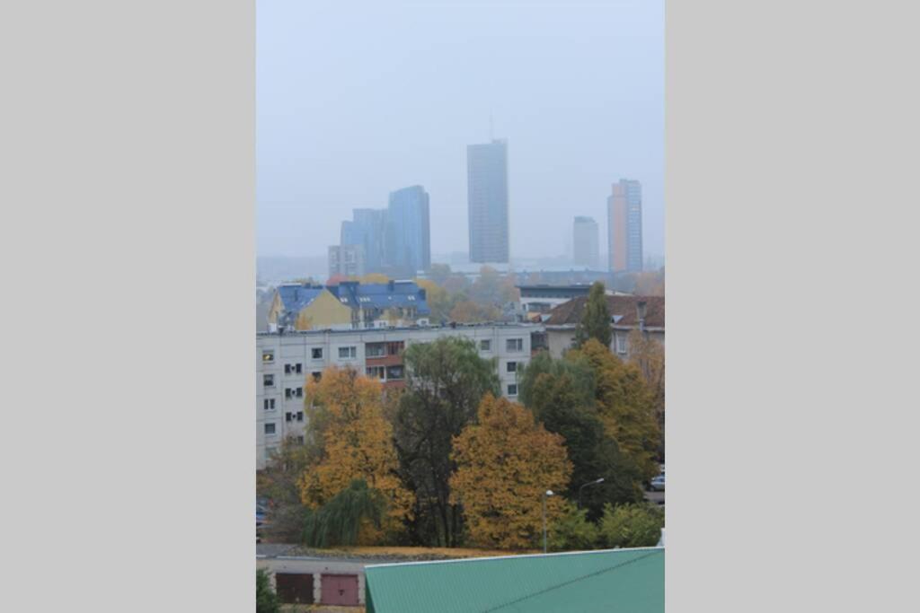 Penthouse Apartment With Great Panoramic City View VNO Kültér fotó